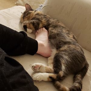 Meet your Posher, Jen elena